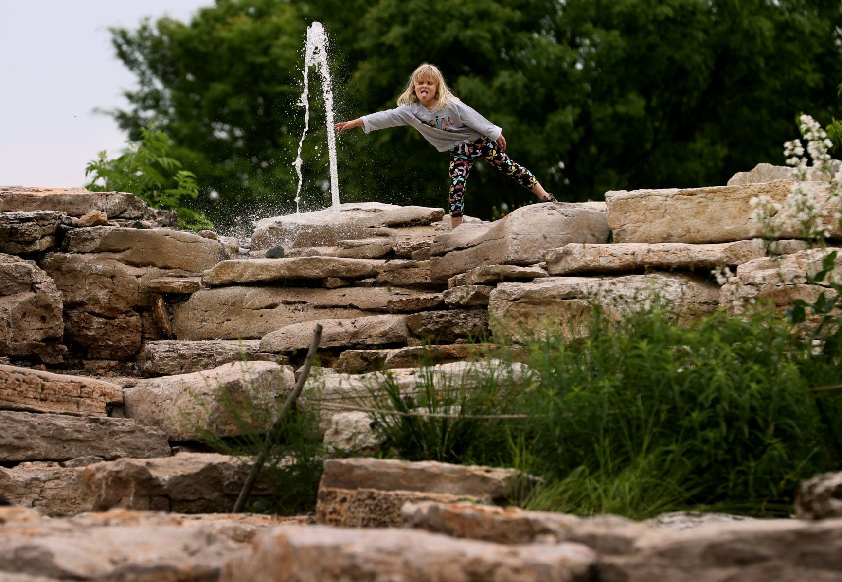 Anne O'C. Albrecht Nature Playscape